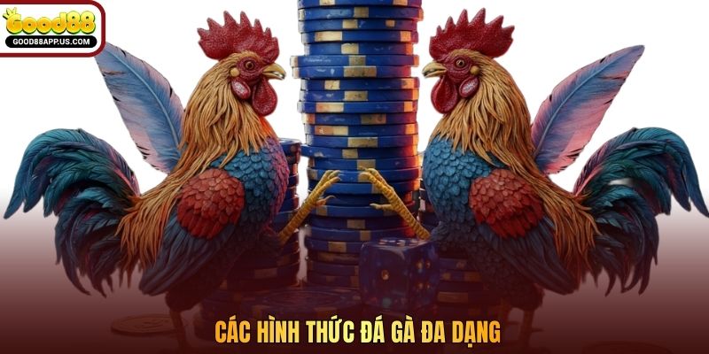 Các hình thức đá gà đa dạng