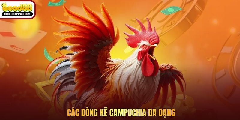 Các dòng kê Campuchia đa dạng