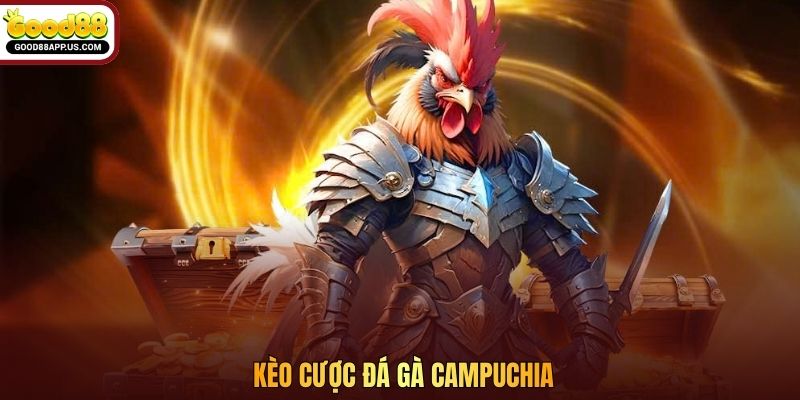 Kèo cược đá gà Campuchia