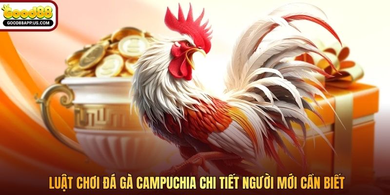 Luật chơi đá gà Campuchia chi tiết người mới cần biết
