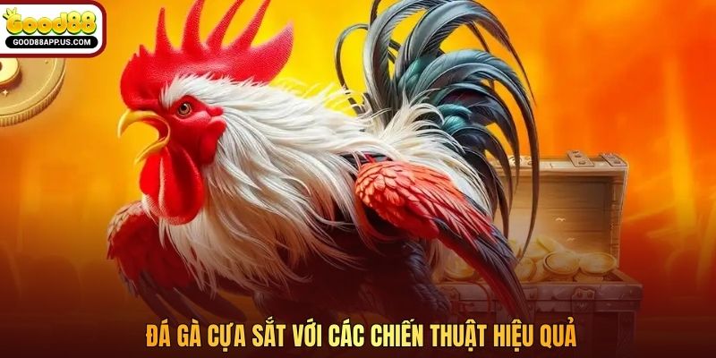 Đá gà cựa sắt với các chiến thuật hiệu quả