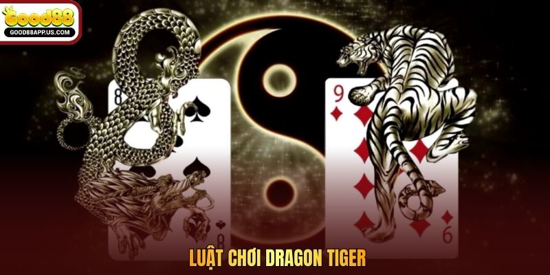 Luật chơi Dragon Tiger