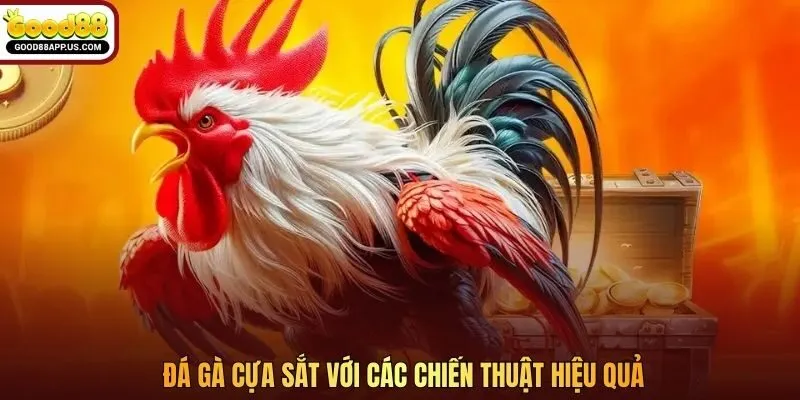 Đá gà cựa sắt với các chiến thuật hiệu quả